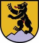 Logo Pfadi Bärenfels