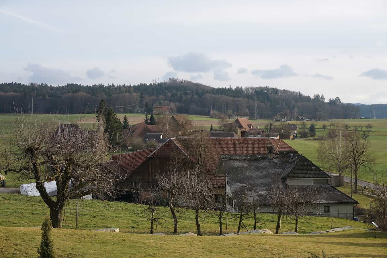 Rüti bei Lyssach, Bauernhöfe