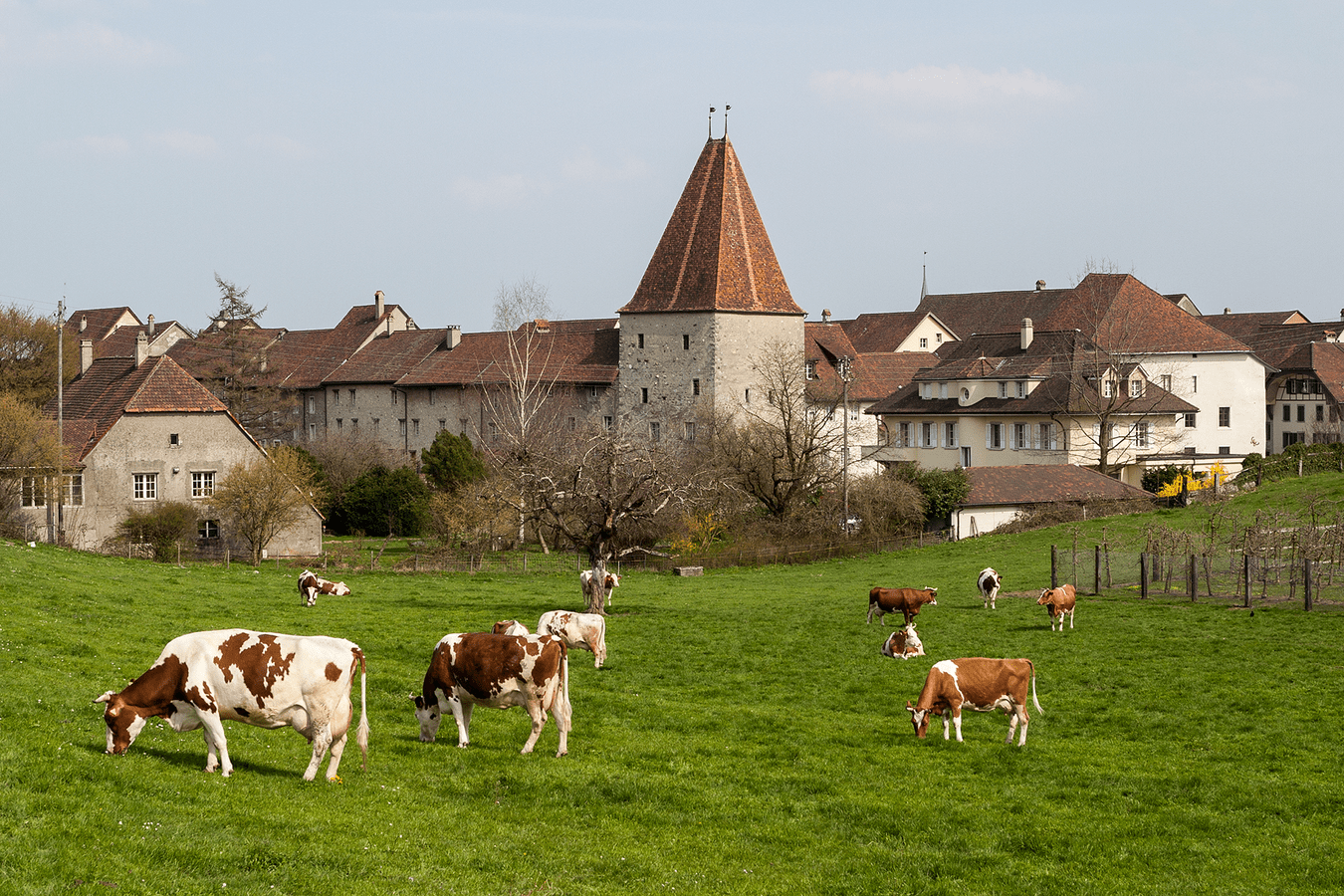 Wiedlisbach mit dem Wohnturm