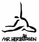 Logo Schaffhausen Herblingen MR