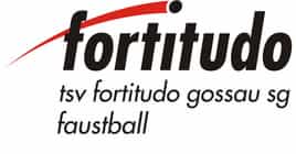 Logo TSV Fortitudo Faustball