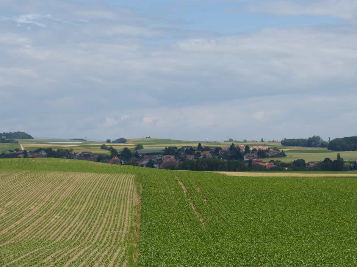 Blick auf das Dorf Daillens.