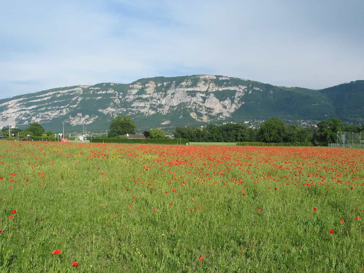 Panorama di Bardonnex, nel cantone di Ginevra, con la Salève sullo sfondo