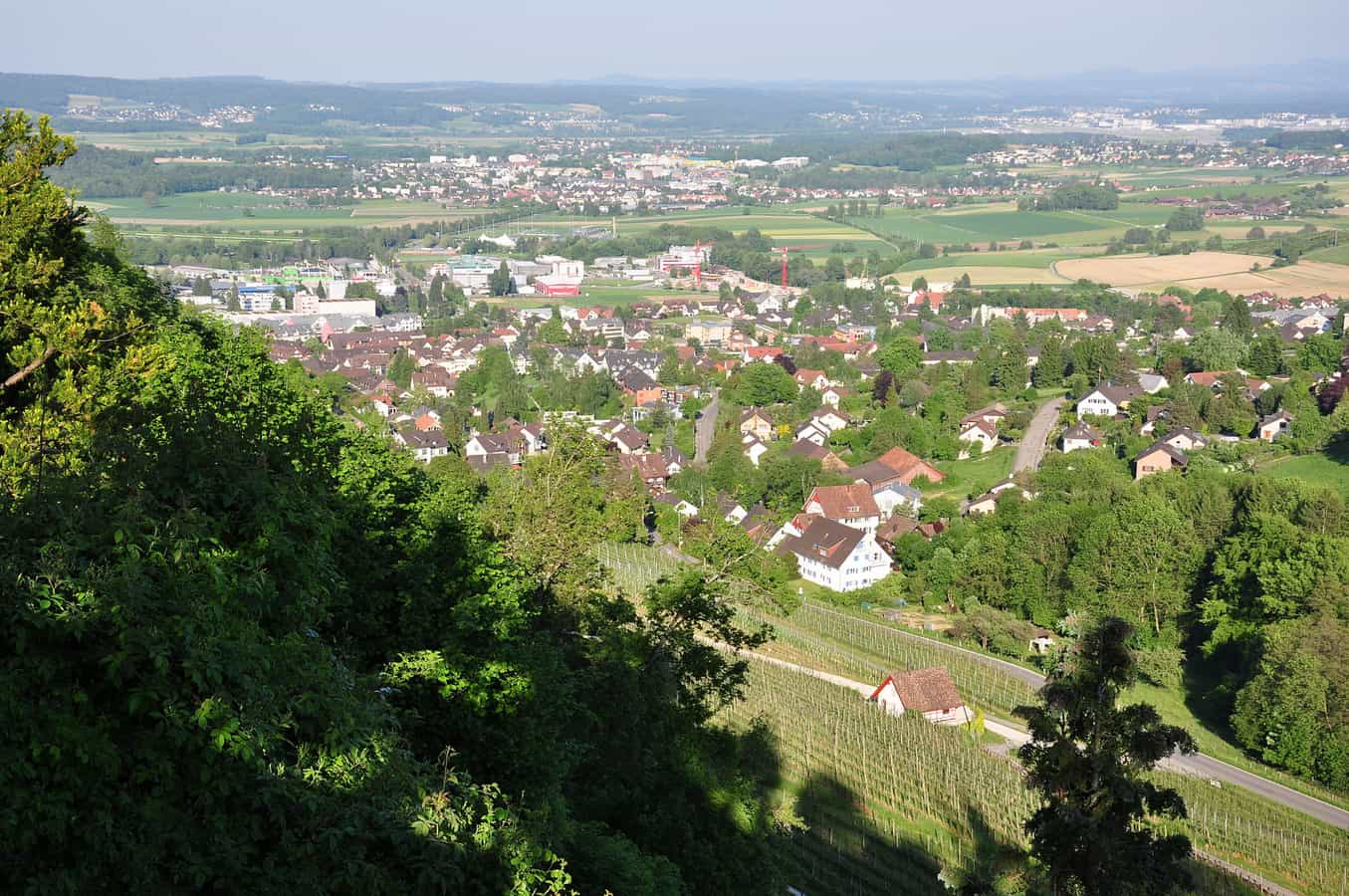 Ansicht von Regensberg auf Dielsdorf