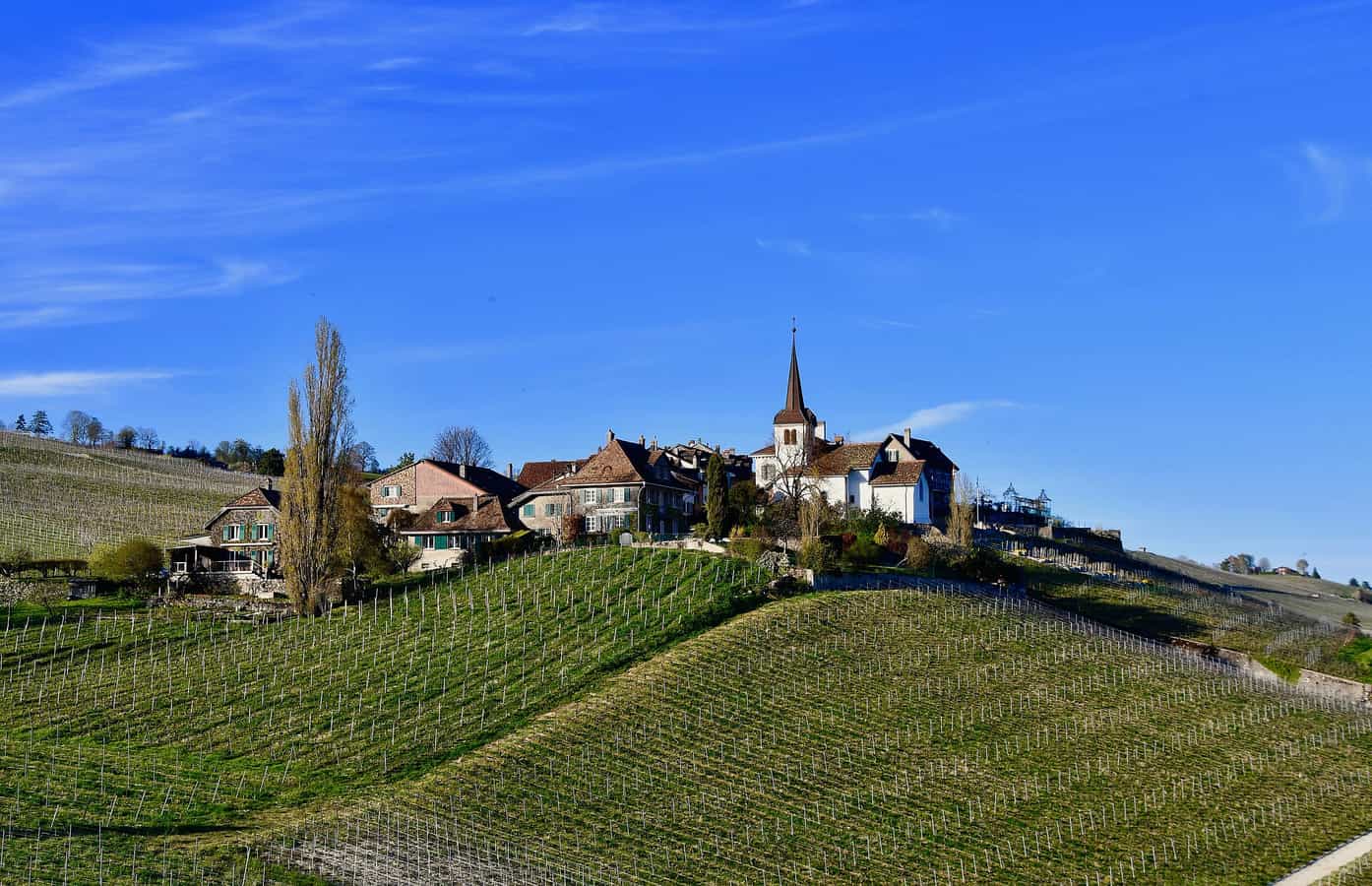 Féchy-Dessus (VD), en Suisse.