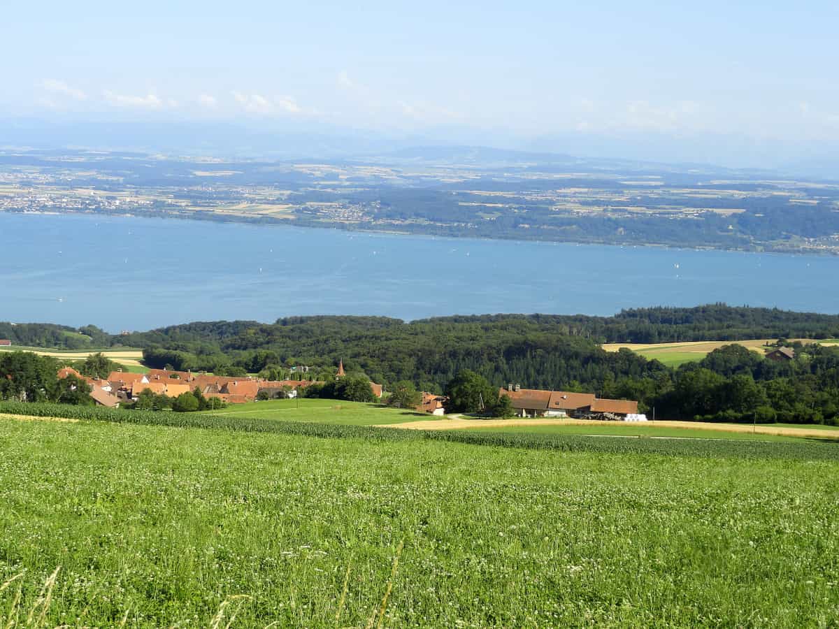 Veduta del comune di Provence, nel cantone di Vaud, con il lago di Neuchâtel sullo sfondo