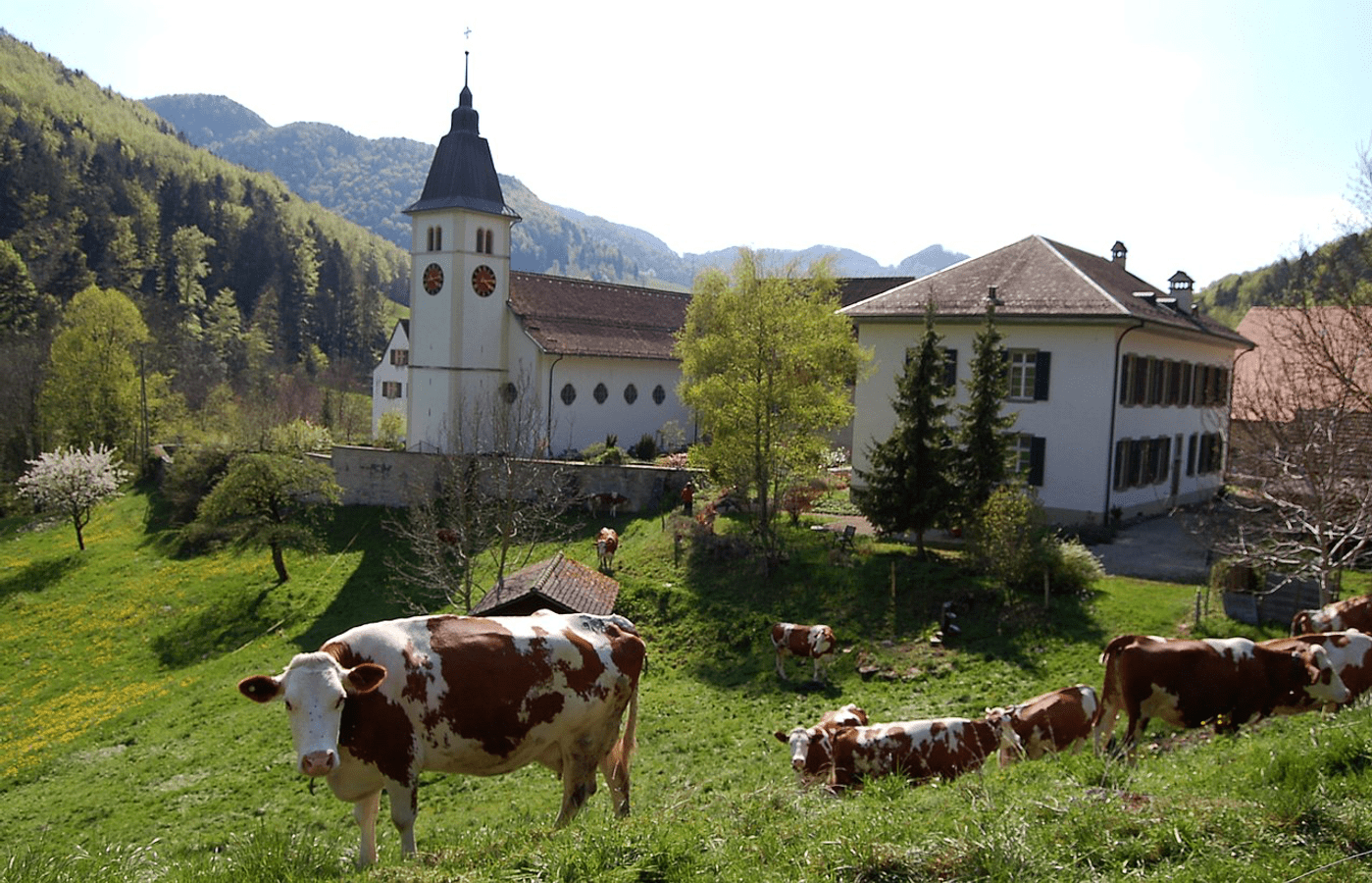 Kloster Beinwil SO