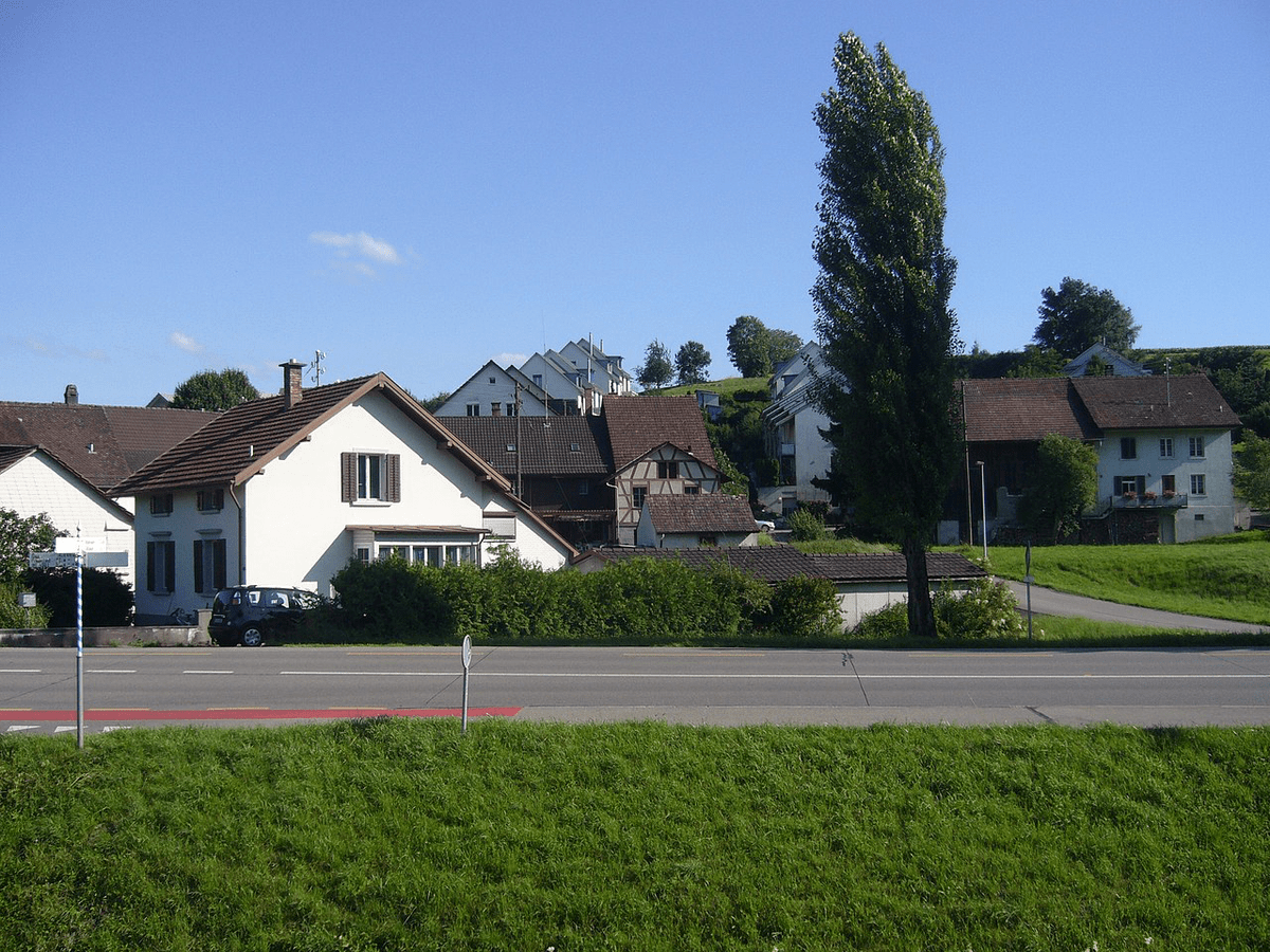 Blick über die St. Galler-Straße auf Häuser