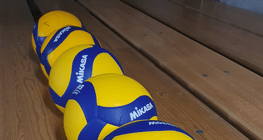 Logo Volleyball-Club Flims