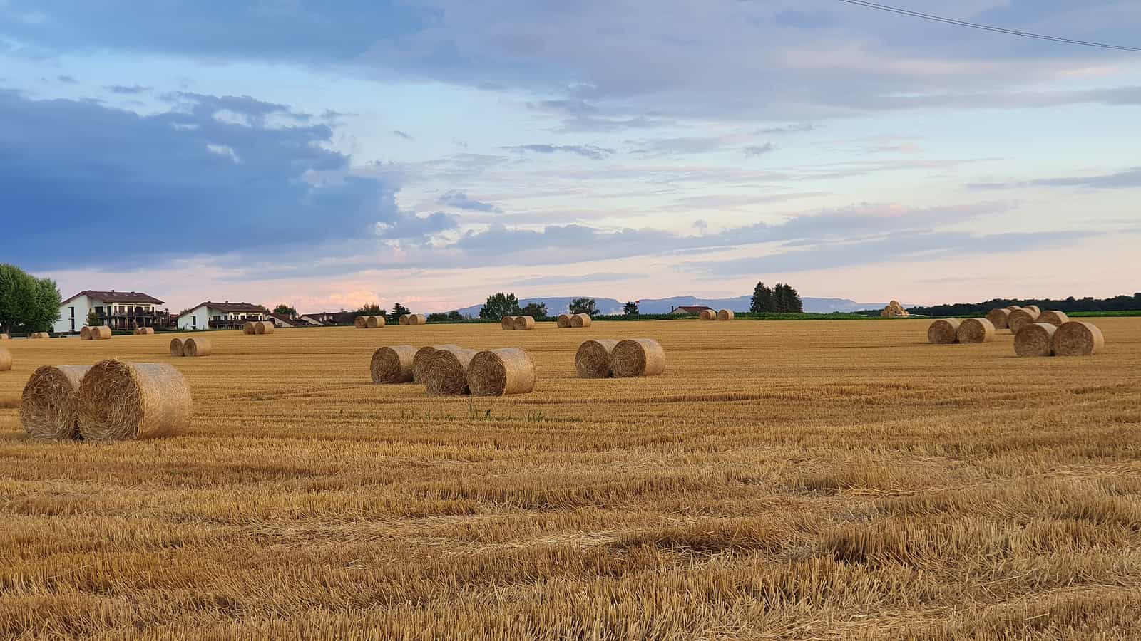 Haystacks in the field at dusk, photo taken at Chavannes-de-Bogis, a small village in the French-speaking Canton de Vaud
