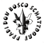 Logo Pfadi Schattdorf