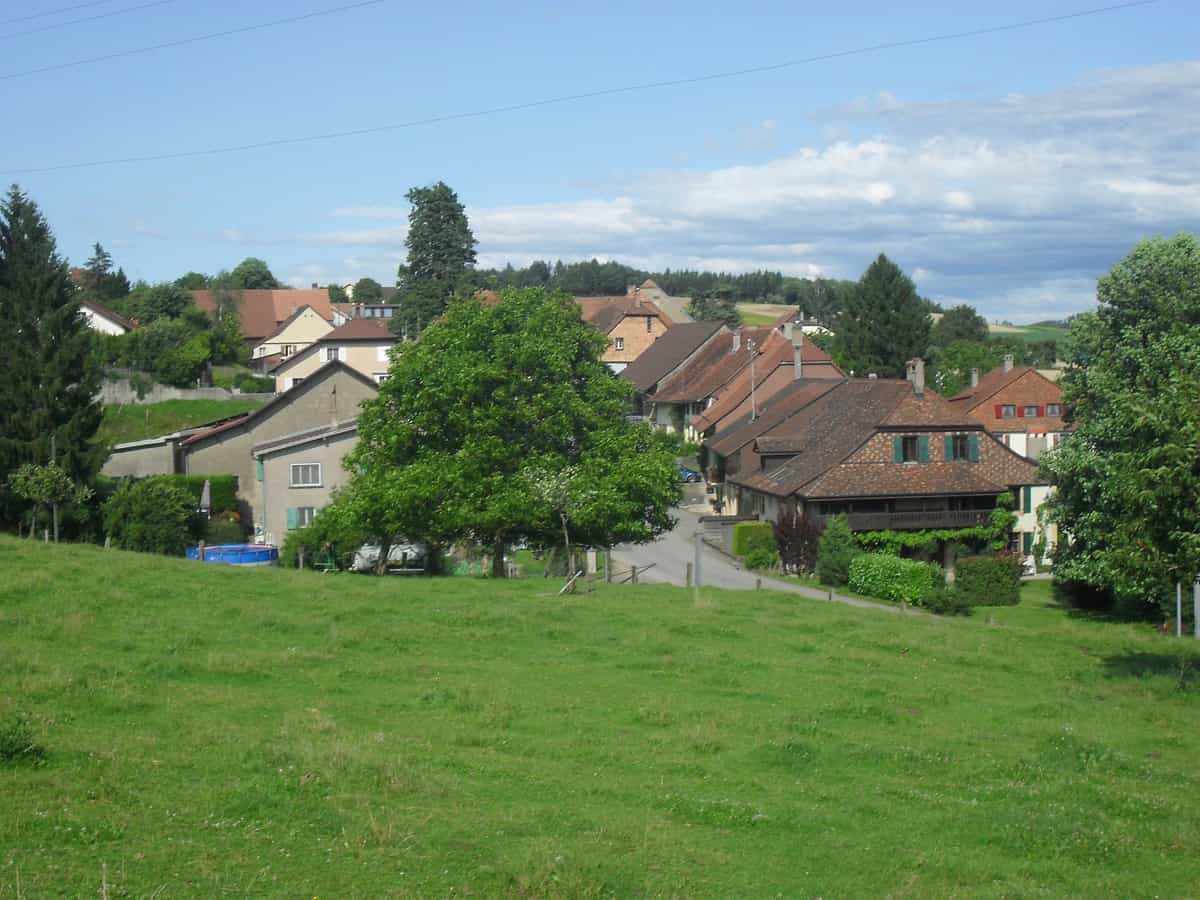 View of Cronay