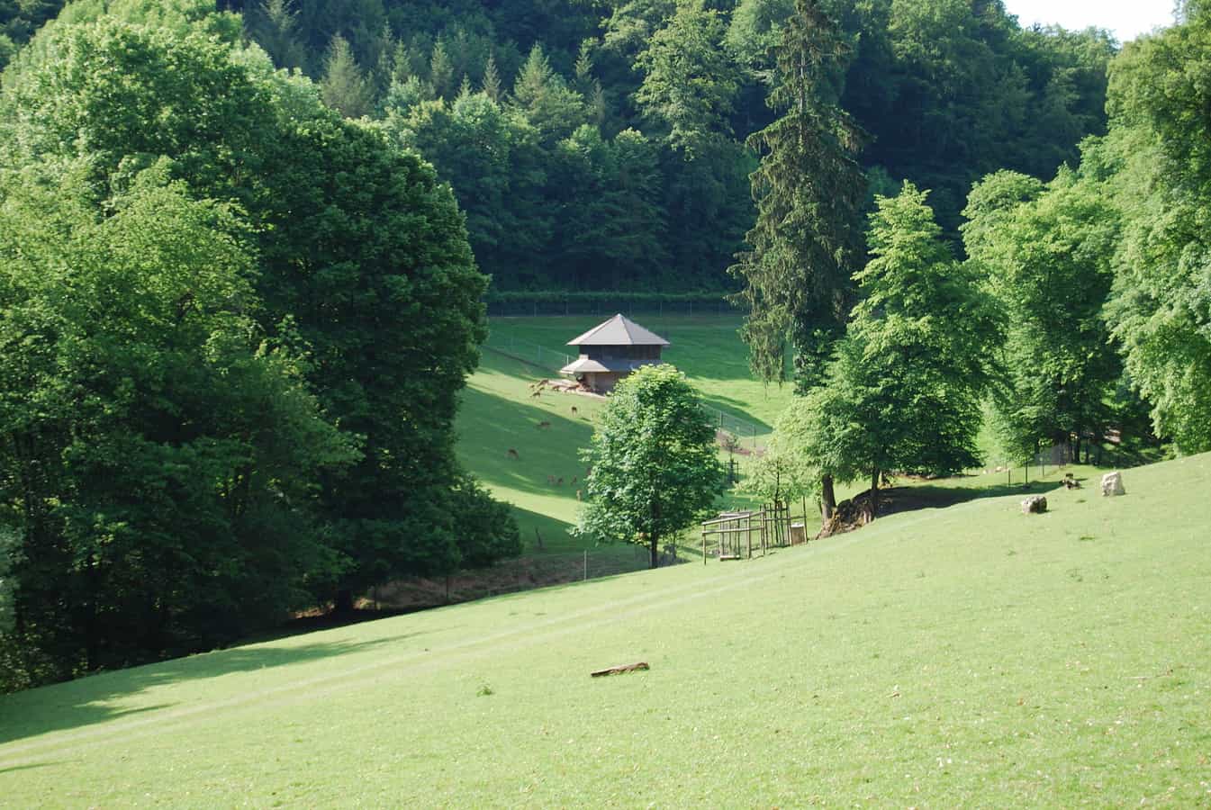 Wildpark Roggenhausen in Aarau und Eppenberg-Wöschnau, Kanton Solothurn