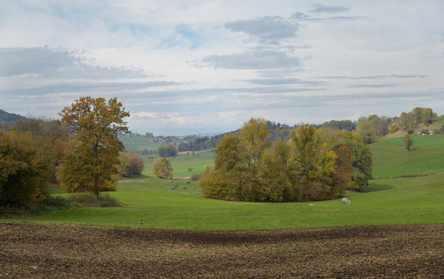 Autumnal View On Granges