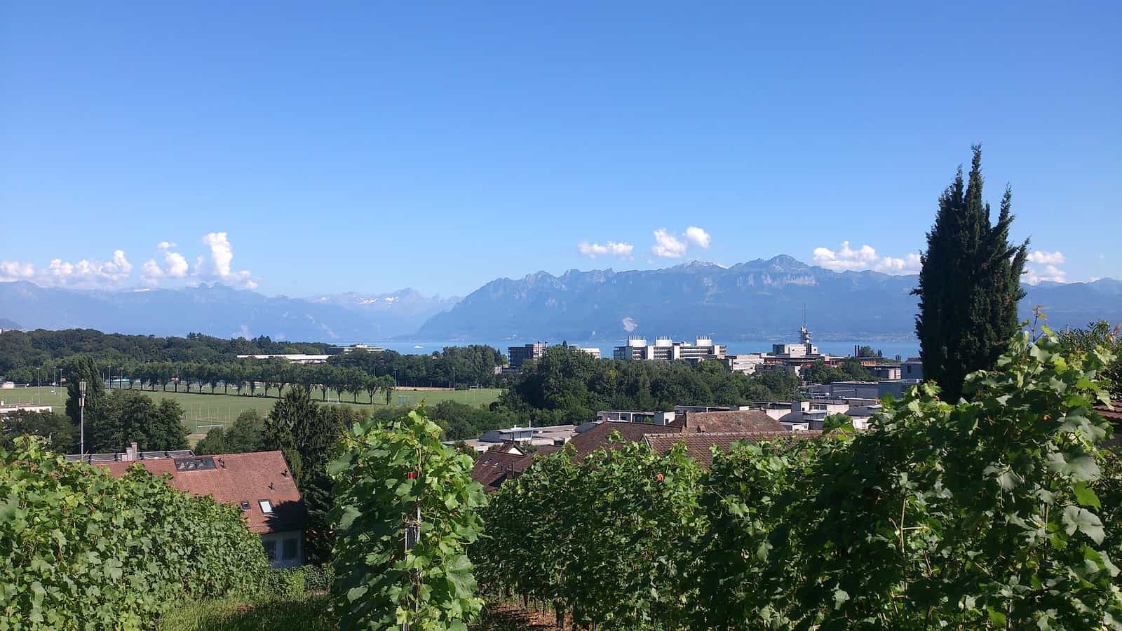 Vista di Écublens con il lago di Ginevra e le Alpi sullo sfondo.