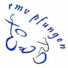 Logo RMV Pfungen
