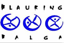 Logo Blauring Balgach