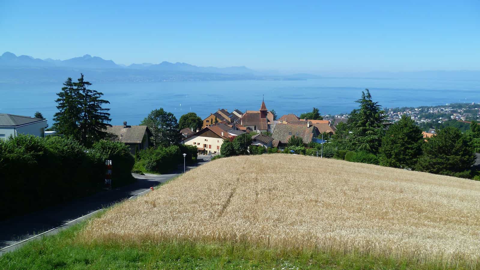 Blick auf Belmont-sur-Lausanne und hinter den Genfer See.