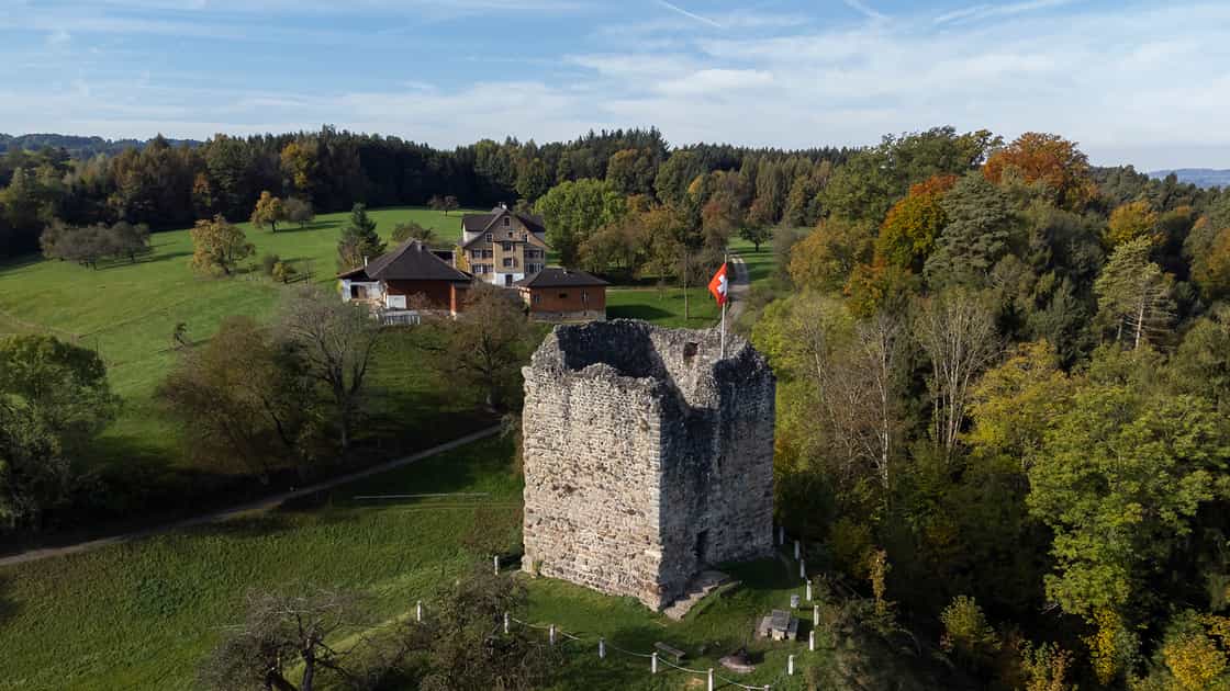 Ruine Last Schönenberg TG