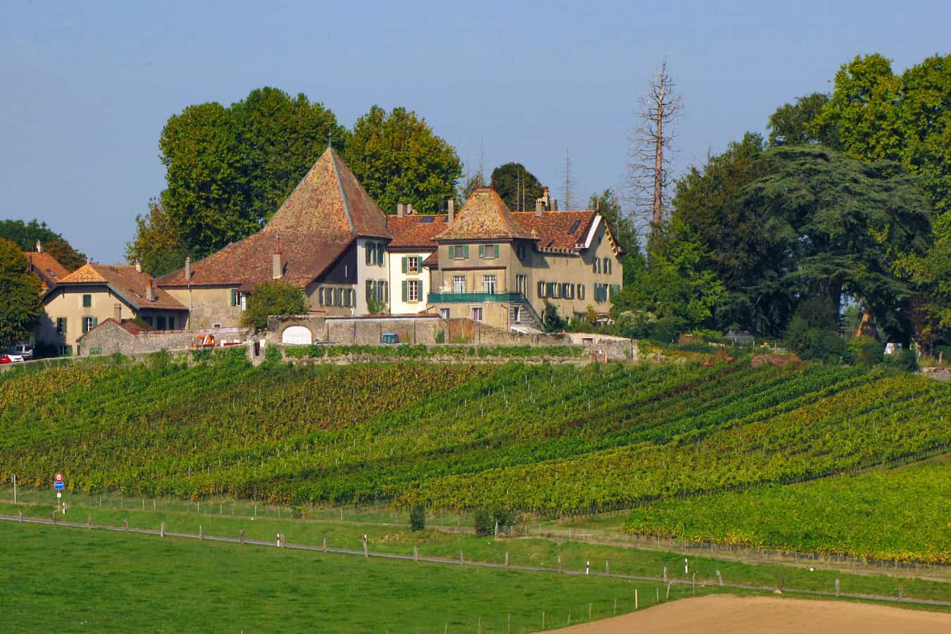 Schloss Denens vom Chemin du Bonderet aus gesehen