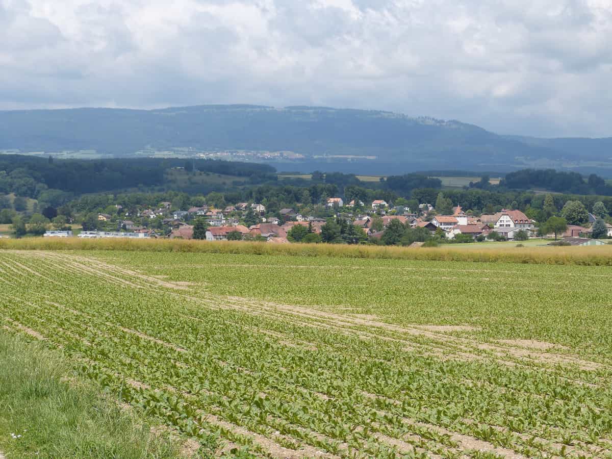 Blick auf das Dorf Penthalaz.