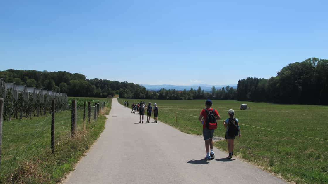 Kinder laufen entlang eines Feldweges, im Hintergrund eine Wiese, bewaldete Hügel und in der Ferne Berge.