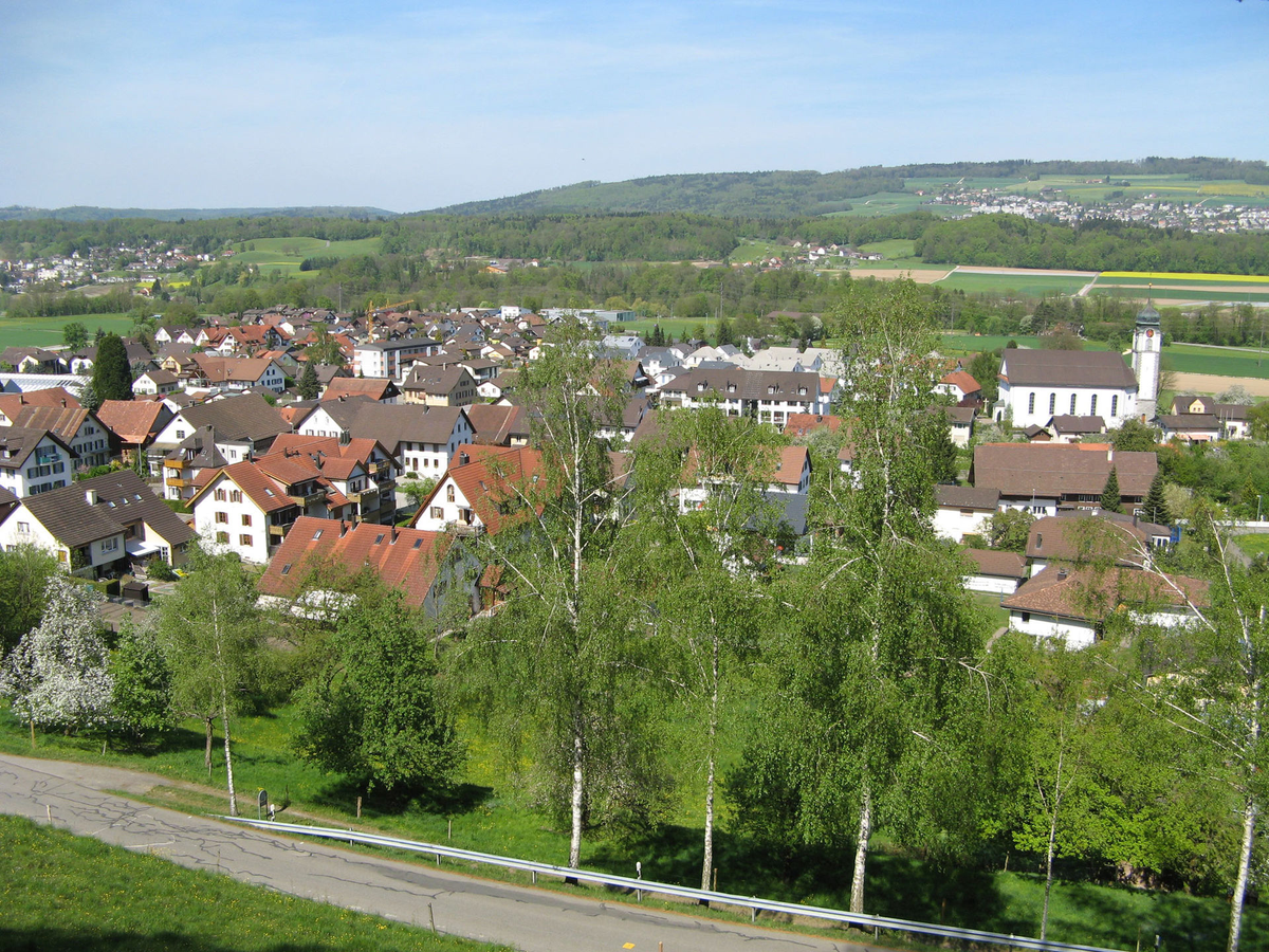 Ansicht des Dorfes Tägerig