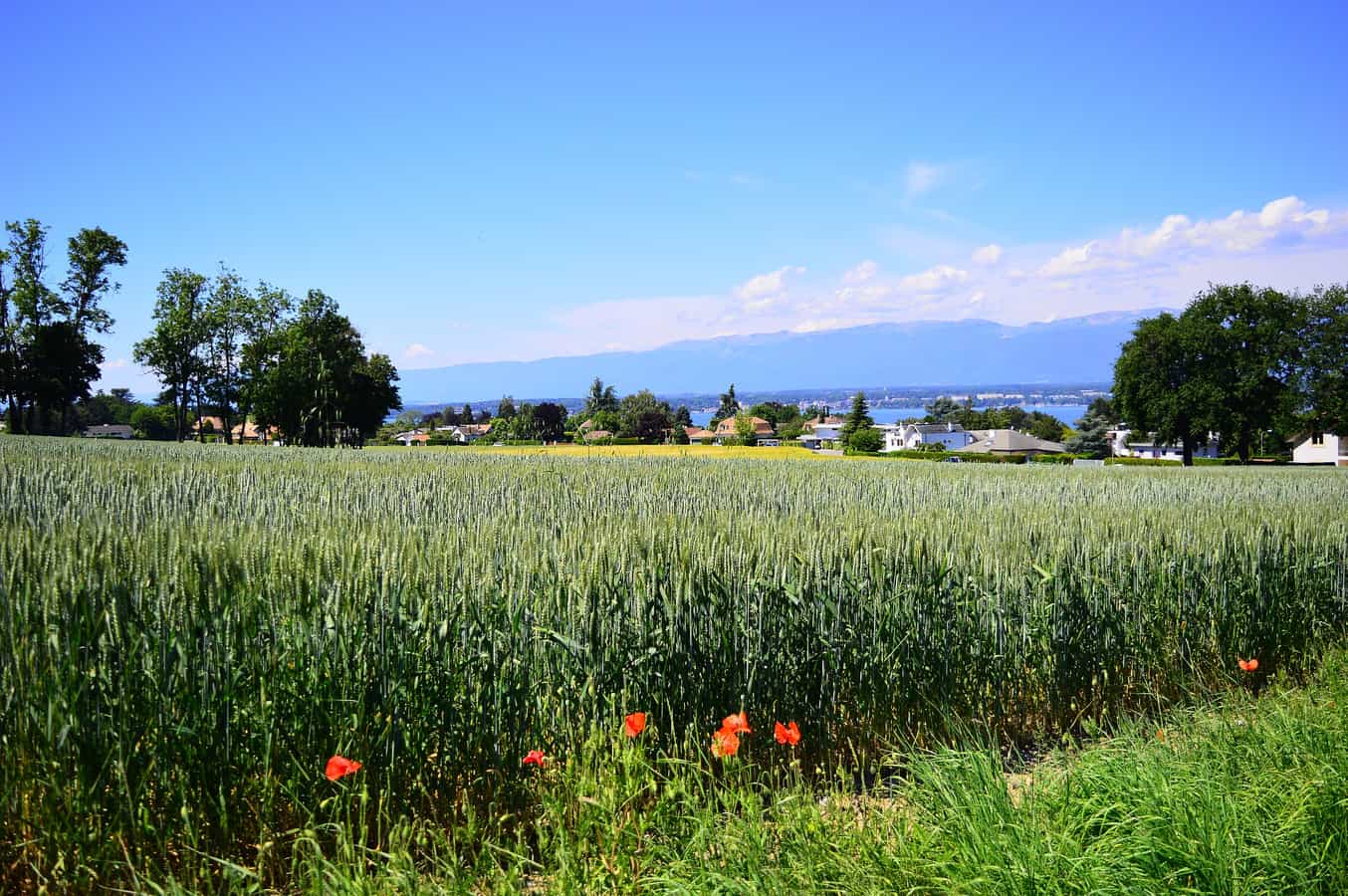 Anières, Panorama der Landschaft im Kanton Genf