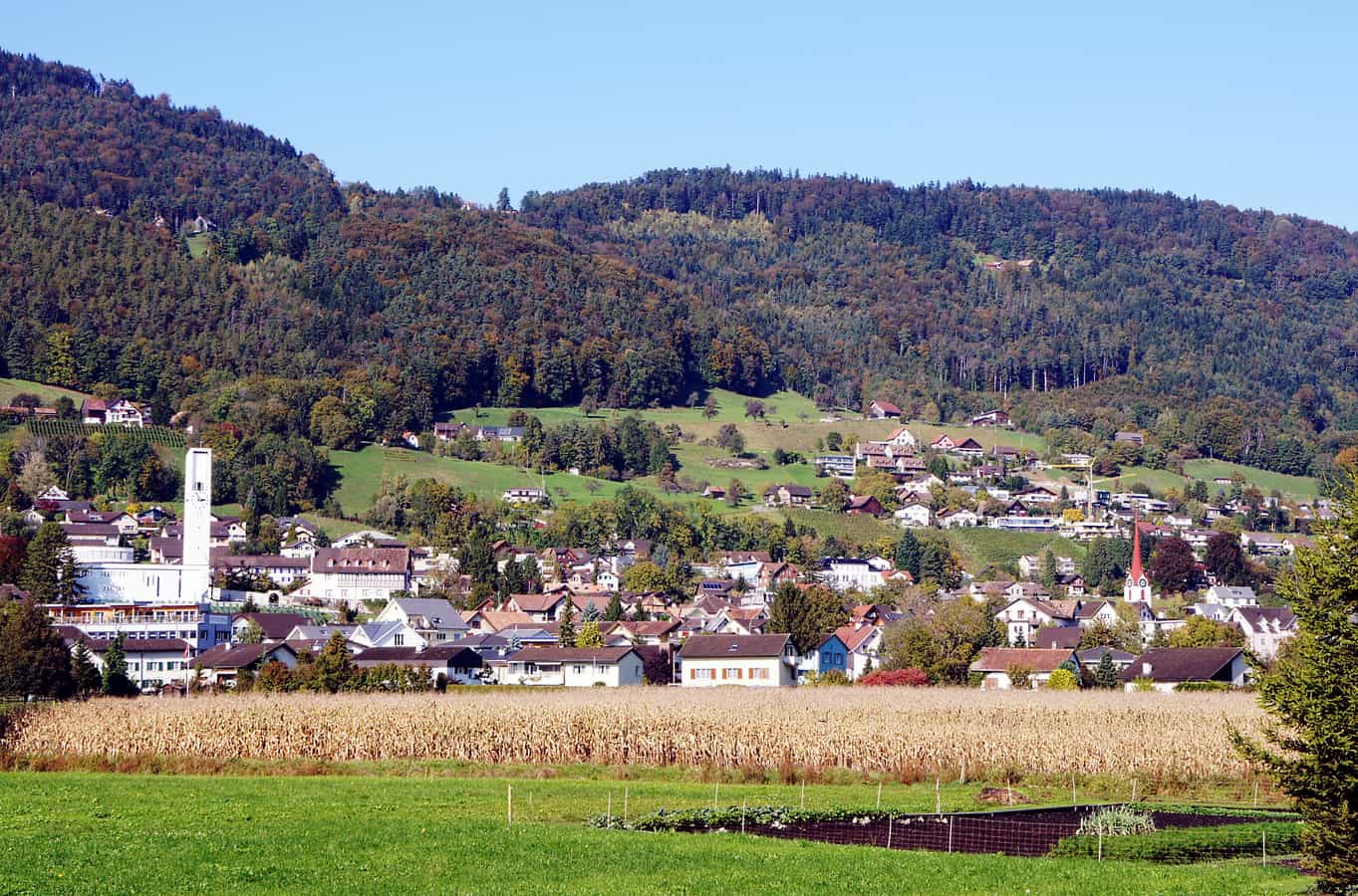 Dorf Rebstein von Süden gesehen