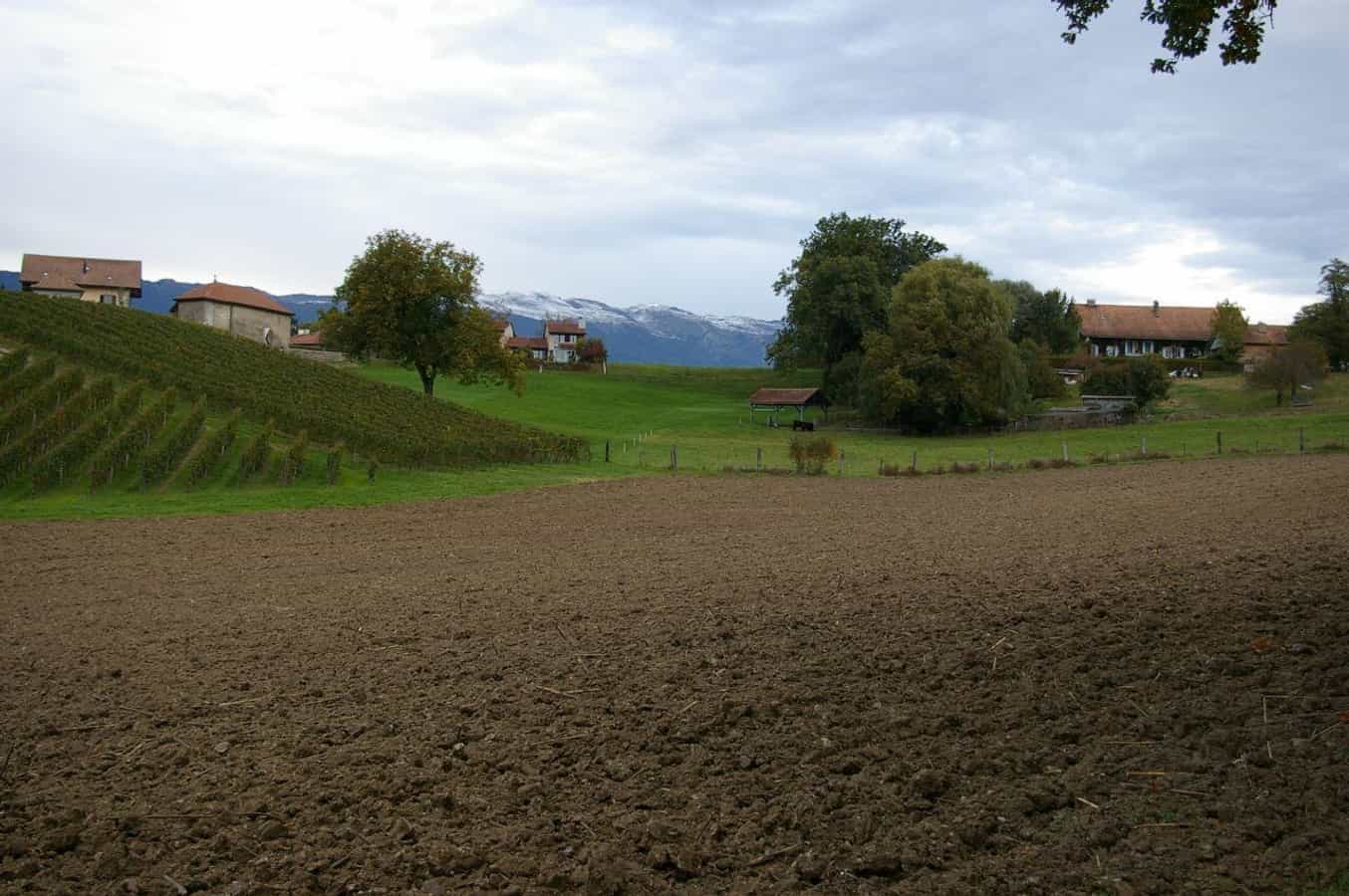 Landscape of the Geneva countryside in Avusy