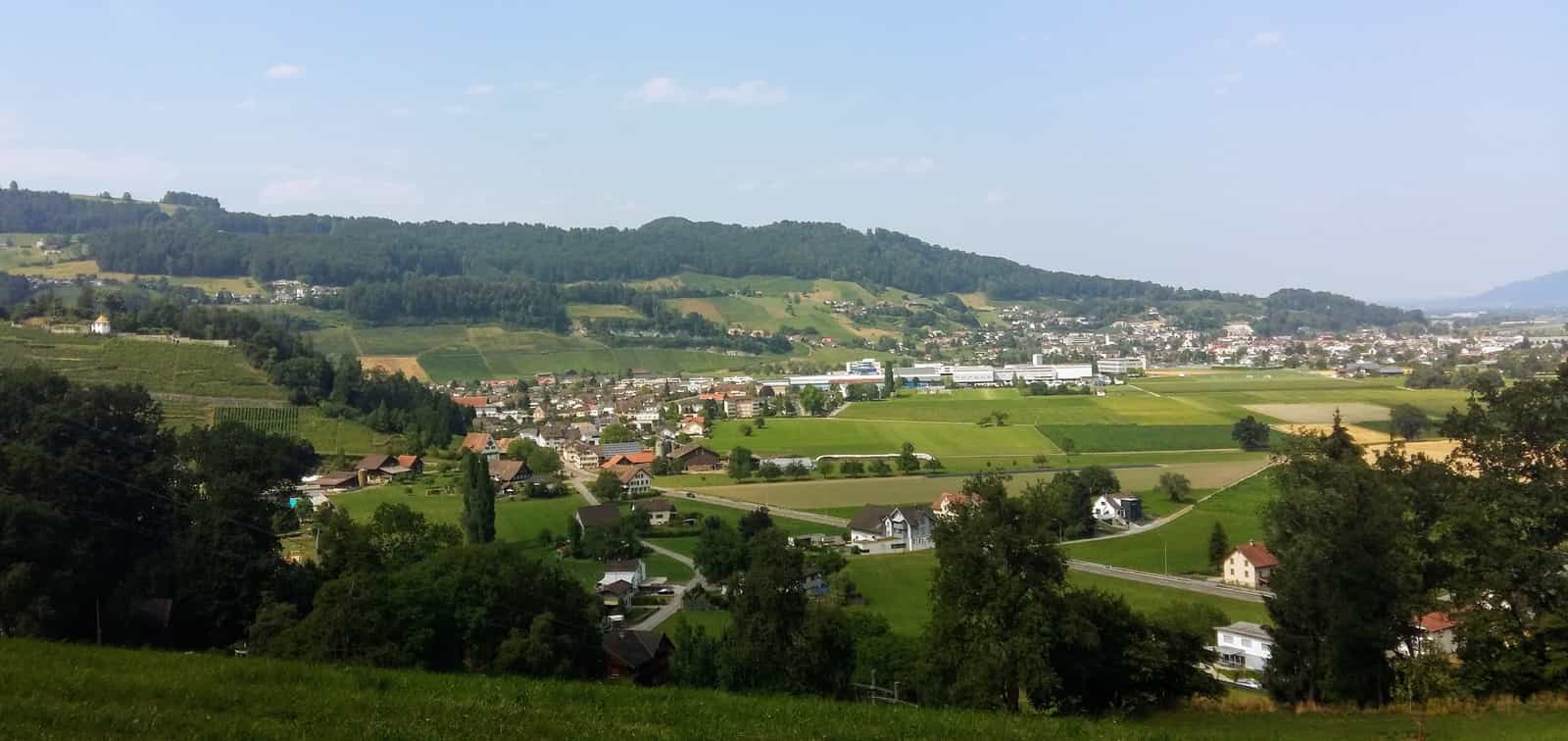 Die Ansicht von Berneck/Au vom Buechholz