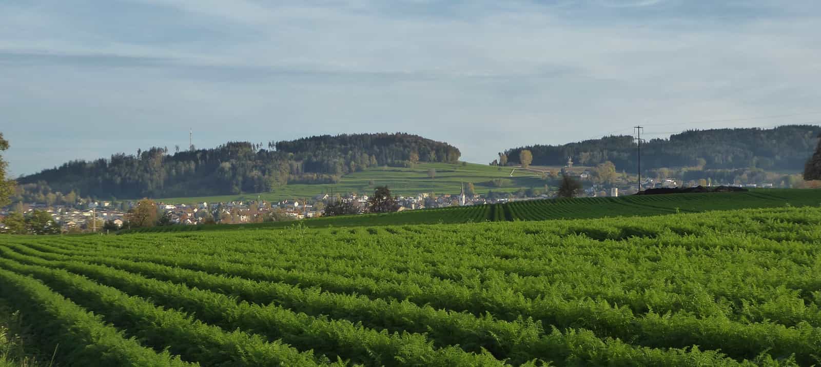Sirnach vom Weiler Freudenberg gesehen
