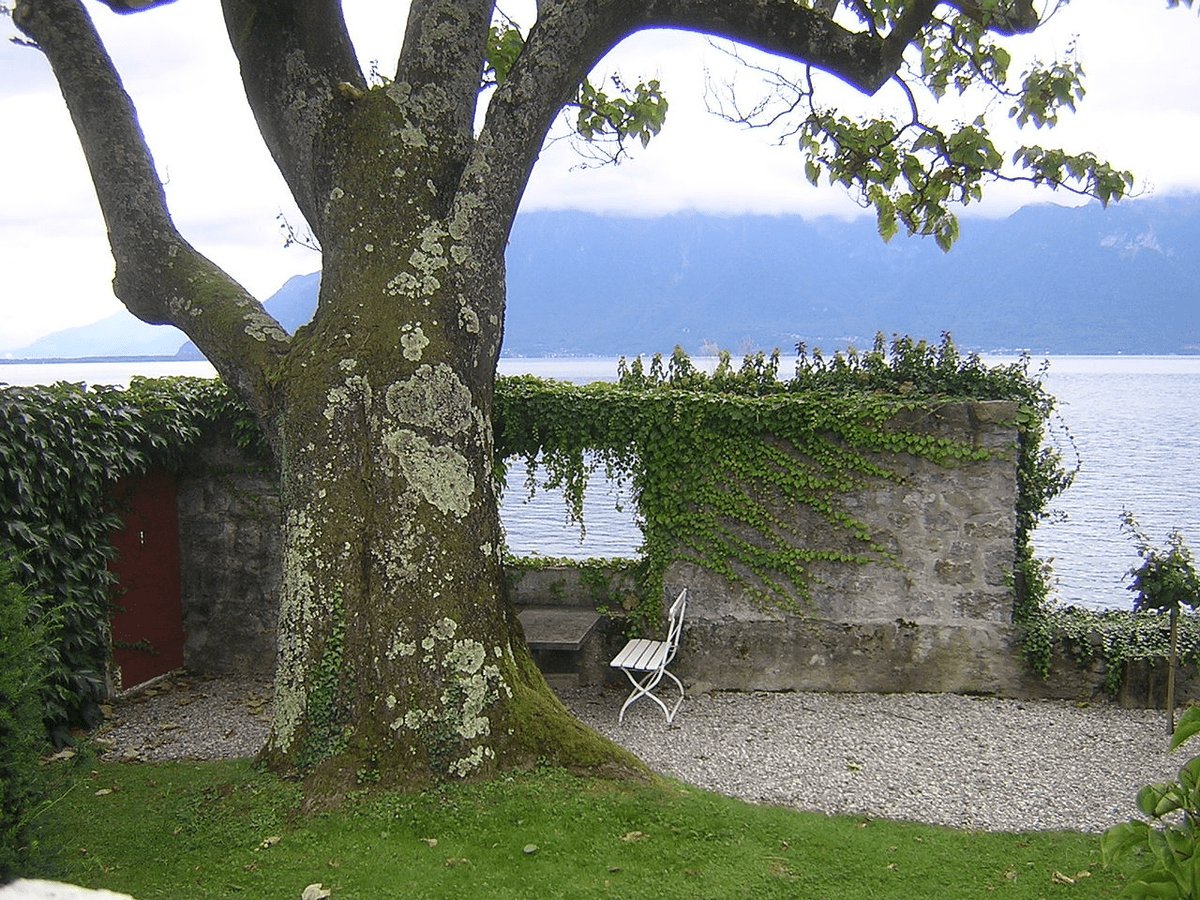 Villa"Le Lac" in Corseaux