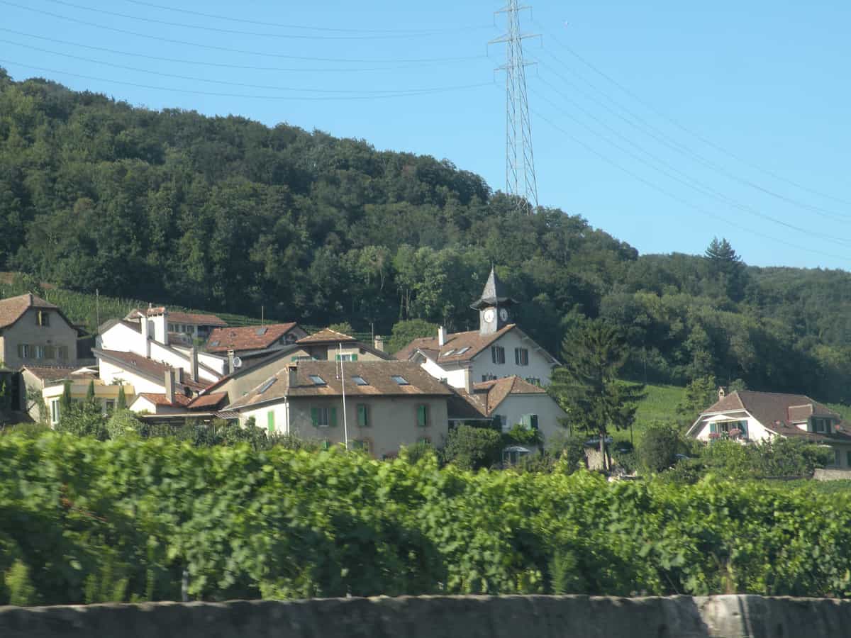 Das Dorf Vinzel, von der Route du Vignoble aus gesehen.