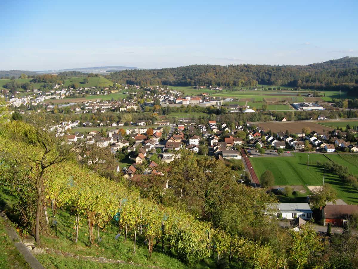 Ansicht von Staufen mit Rebberg, aufgenommen vom Staufberg aus