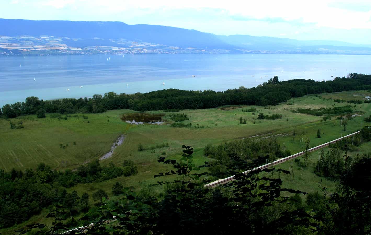 Grande Cariçaie vers Cheyres FR, sponda meridionale del Lago di Neuchâtel