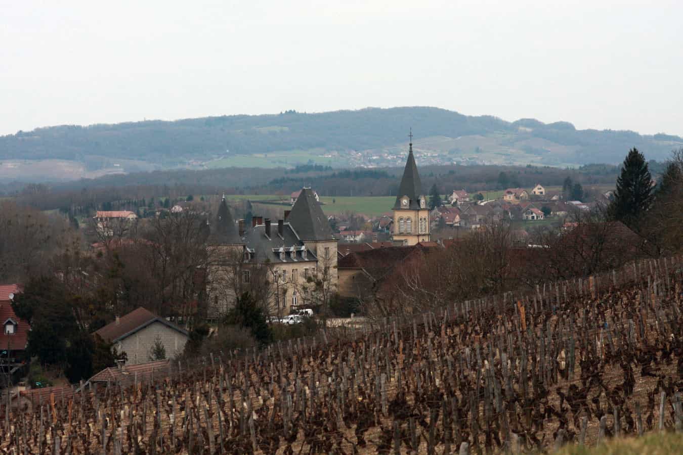 Lavigny, Waadt, Blick aus dem Weinberg