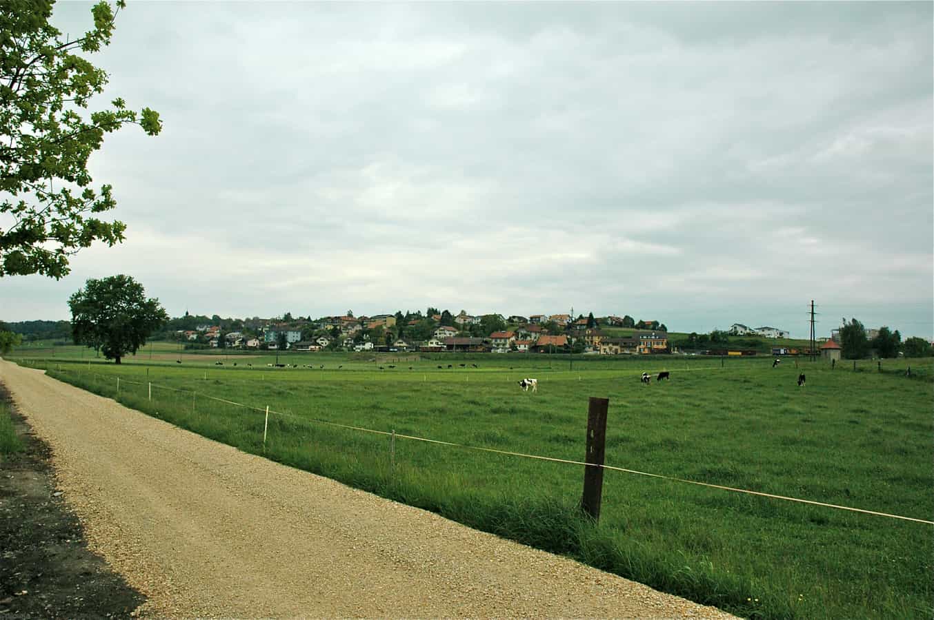 Vista del villaggio di "CRESSIER" o "CRESSIER sur MORAT" Cantone di Friburgo SVIZZERA