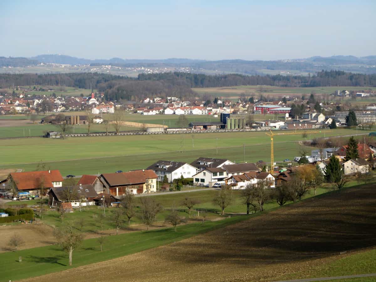 Ansicht von Waltenschwil, im Vordergrund Büelisacher