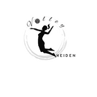Logo Volley Heiden