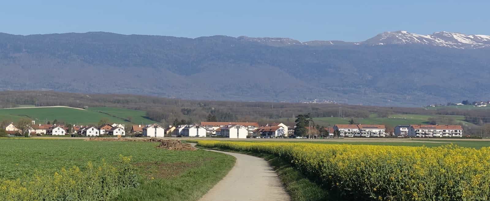 Chancy vom Chemin des Raclerets aus, mit der Jurakette im Hintergrund.