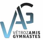 Logo Vétroz Amis Gymnastes FSG