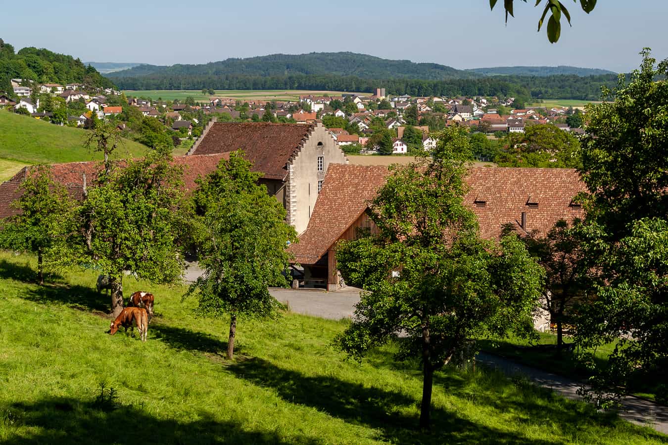 Hofgut des Schlosses Wildegg in Möriken (AG)