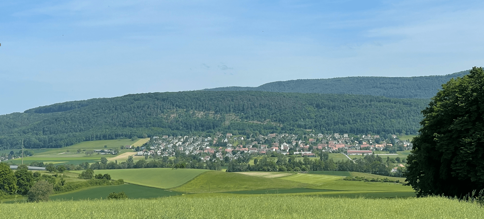 Rodersdorf - ein lebendiges Dorf mit weitem Blick ins Elsass