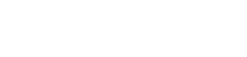 Logo CEVI Wetzikon