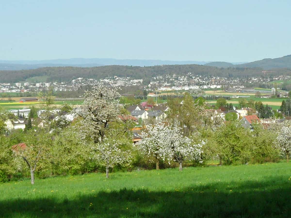 Blick auf Witterswil